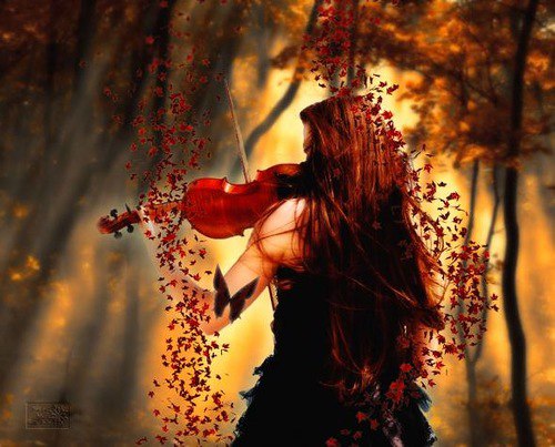    ...  ,     -   ,  ...