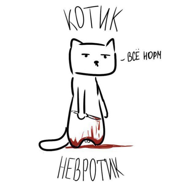 Котики мемы картинки распечатать