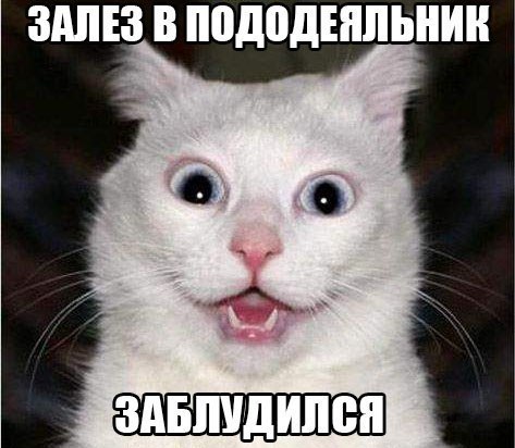    :-) - 18  2015  07:03