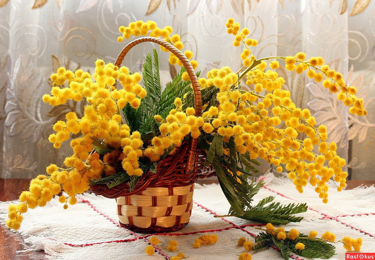 https://fotostrana.ru/away?to=/sl/YXM