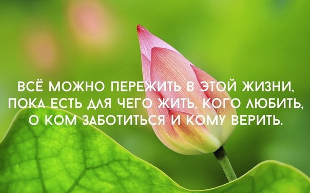   - 8  2015  05:22