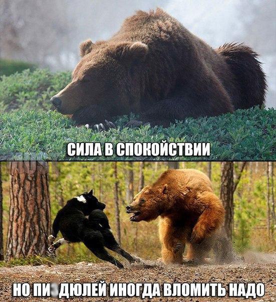  -   - 14  2015  04:05