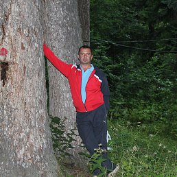 ���������, ���������, 53 ����