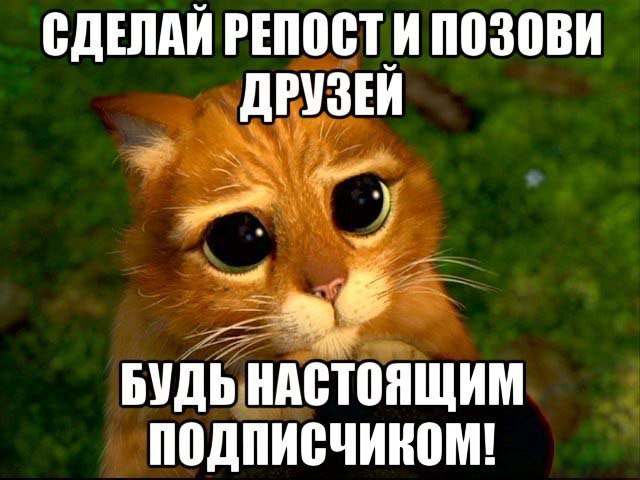 Приглашаю подписаться: <a href=