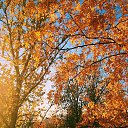 ���� ��������, �����-��������� - ��������� 19 ������� 2015 � ������ ������ ��������