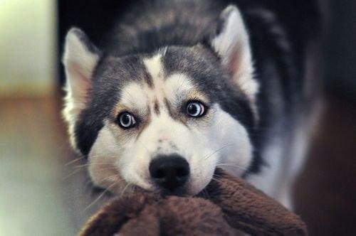 ������ ������ - 29 �������� 2015 � 12:33