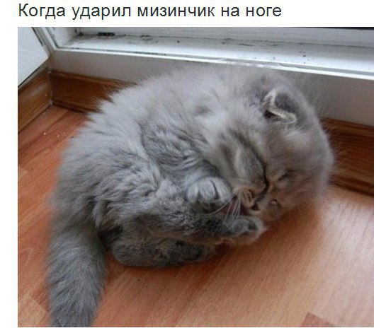 ���!!��� ������!!!