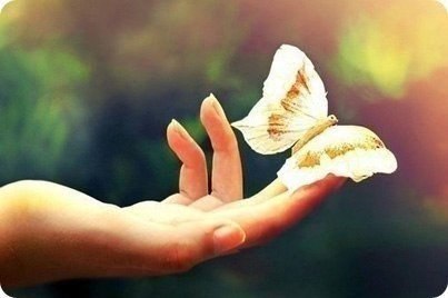  ,          ... ... .