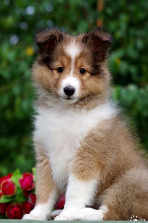   - 24  2016  21:22 - 6