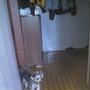  , , 37  -  11  2015   !)