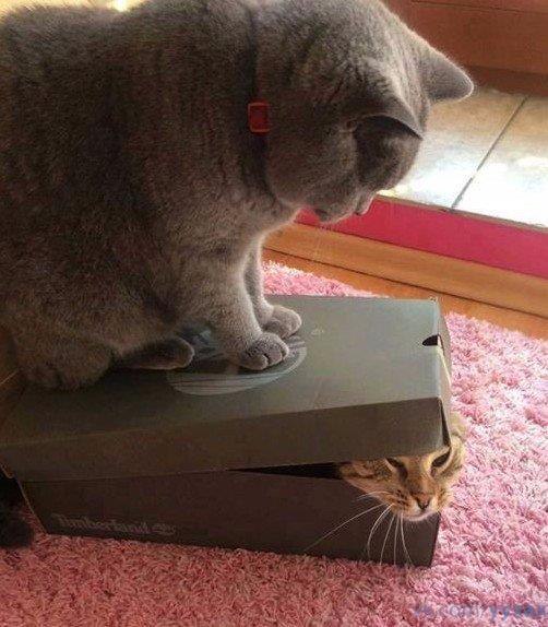 , , !
