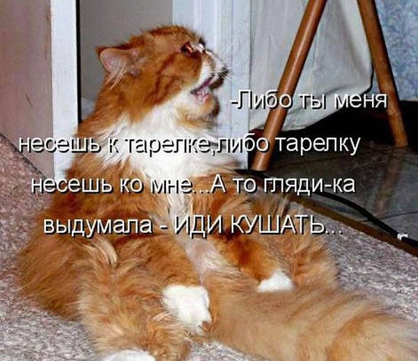  "   " .