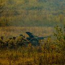 ���� �����, ����, 40 ��� - ��������� 24 ������ 2016 � ������ ��������������