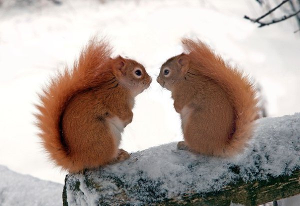   - 16  2015  18:09 - 9