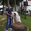  Vladimir,  -  7  2015    2015.