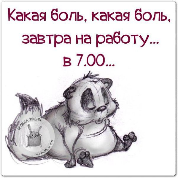   - 29  2015  19:13