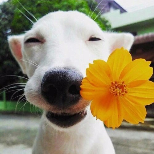 Маленький романтик :)