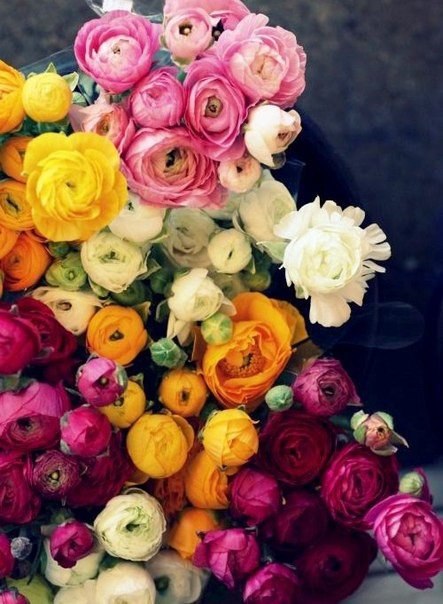 ���� ��� �����, �� ���������������. �� ������ ������� ������ ������� �����. - 4