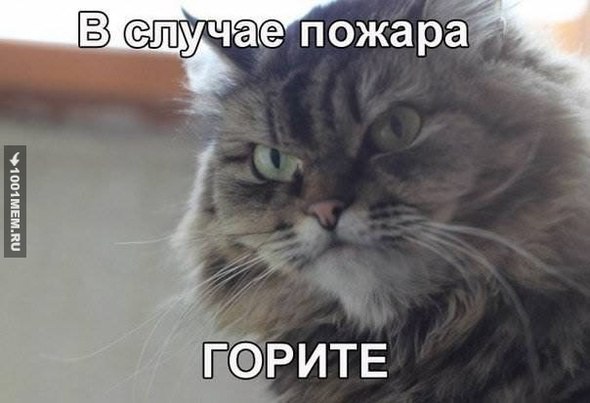 ((9(( - 16  2015  14:44