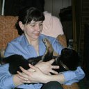  ,  -  3  2016        !!!