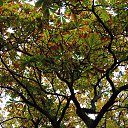  , , 60  -  25  2015   24.10.15.  ,.