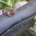 ���� �������, ������, 51 ��� - ��������� 9 ������� 2015 � ������ ���� ������