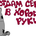 ���� ������, �����������, 43 ���� - ��������� 30 ������ 2016
