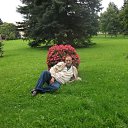 ���� �������, ������, 73 ���� - ��������� 1 ������ 2016 � ������ ���� ����������