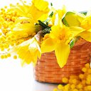  , , 43  -  28  2015   Ż