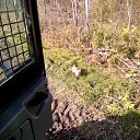 ���� ������, ������� ��������, 49 ��� - ��������� 13 ������� 2015 � ������ ������