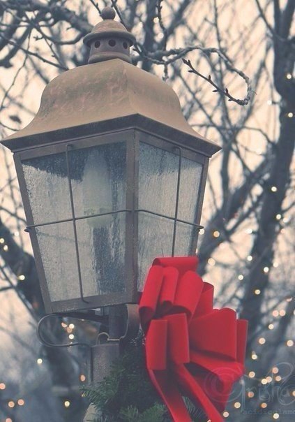 ,        2015,   - ,     ... - 4