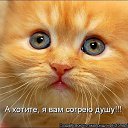  )))    