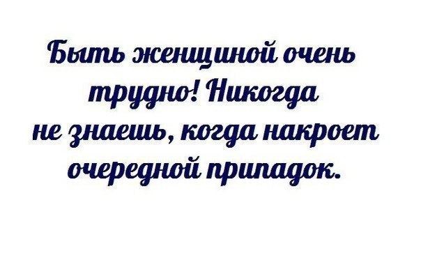   |  |  - 12  2015  17:20
