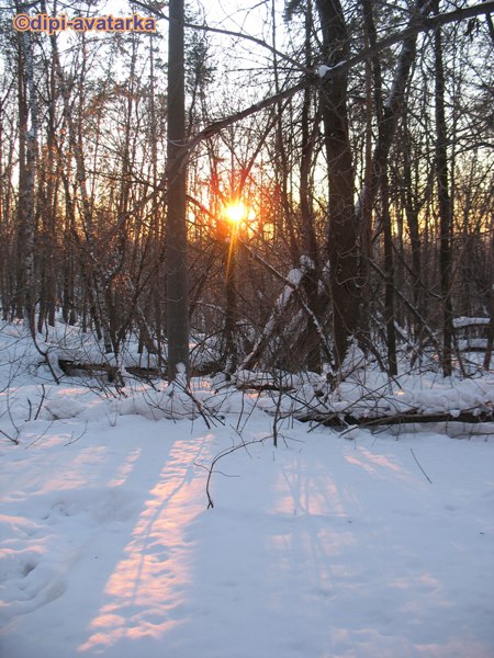 dipi-avatarka - 11 февраля 2016 в 10:36