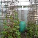 ���� ������, �����-��������� - ��������� 2 ������� 2015 � ������ ���� ����������