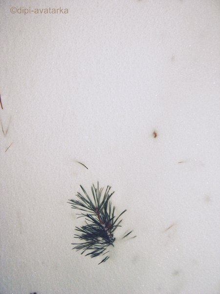 dipi-avatarka - 28  2016  10:45