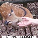 ���� �������, ������, 41 ��� - ��������� 22 ������ 2016 � ������ ���� ����������