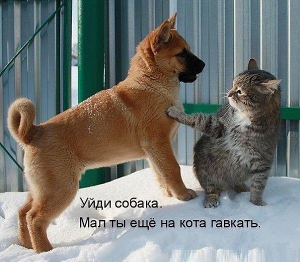    :D - 12  2015  04:37
