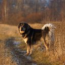 �� ��������... �� ������� �������� �����)�