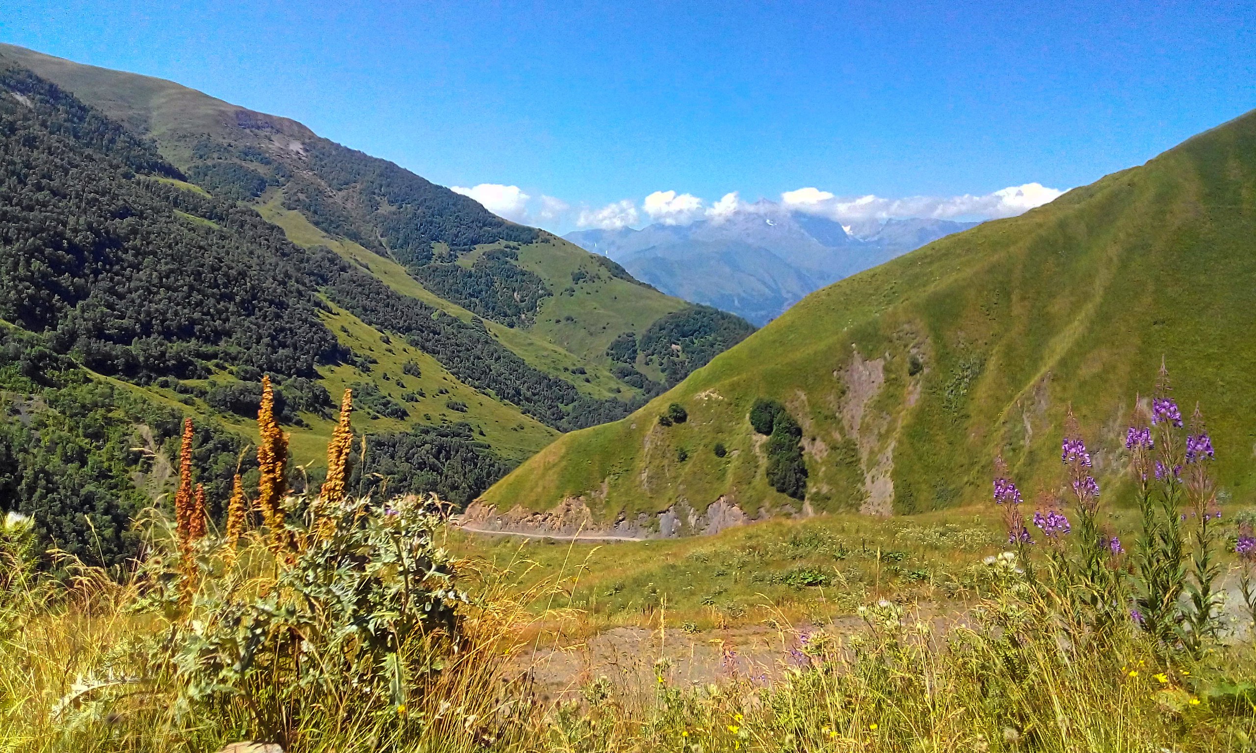 Datvijvari Pass (Bear Cross Pass, 2670 m above sea level) - 2