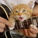 ���� ����, ���������, 56 ��� - ��������� 1 ������ 2015 � ������ ���� ����������