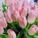 ���� ��������� ���������, ��������� - ��������� 6 ����� 2016 � ������ ���� ����������