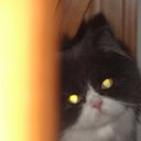 ���� ������, ���������, 45 ��� - ��������� 11 ������ 2016 � ������ ������