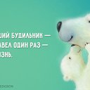 ���� �����, ������� - ��������� 21 ������ 2015 � ������ ���� ����������