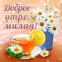 ���� �����, ���������, 62 ���� - ��������� 7 ������� 2015 � ������ �������� ��������