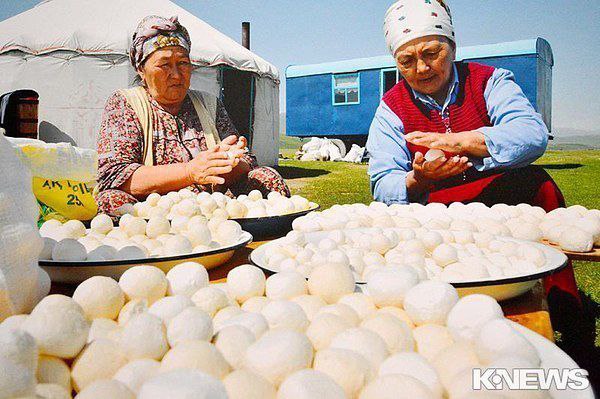 Алтайский сыр курут