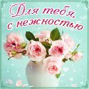 ���� �����, ������, 51 ��� - ��������� 5 ������� 2015 � ������ �������� ��������