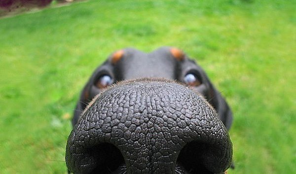       :)