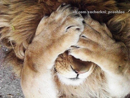 -    ???... ...  ??!!