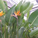 ���� ���������, ��������, 70 ��� - ��������� 5 ����� 2016 � ������ �������